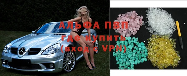 сатива Абинск
