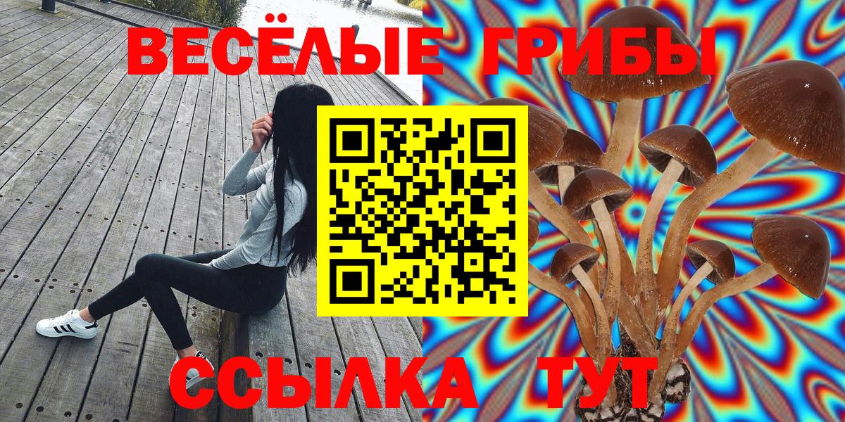 Псилоцибиновые грибы MAGIC MUSHROOMS Чайковский