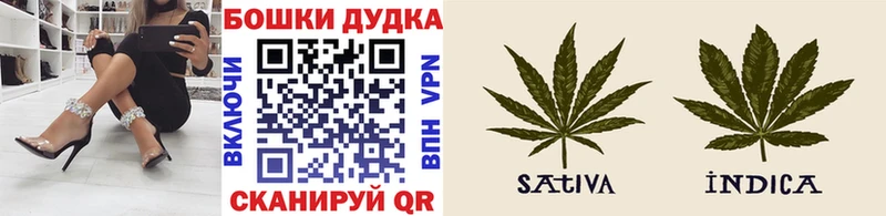 Бошки Шишки THC 21%  Чайковский 